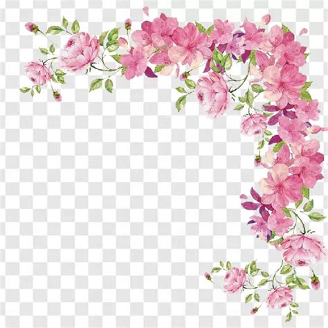 floral border transparent|More.